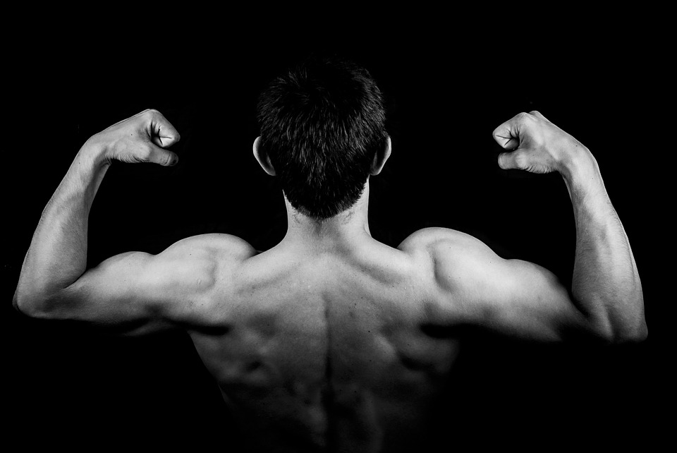 Nutrition et musculation : les compléments essentiels